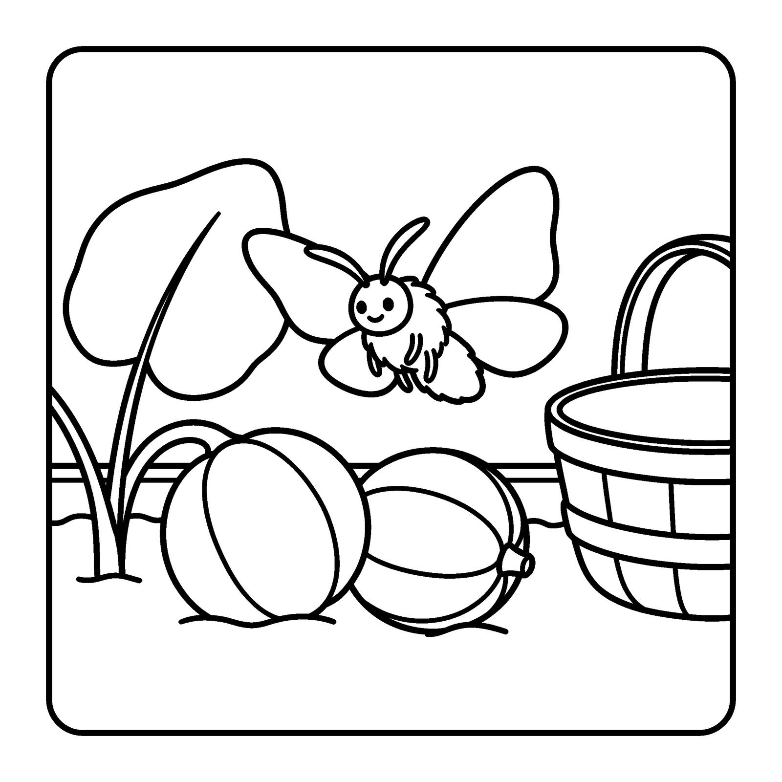 Moth flying over two striped squash next to a basket and a big leaf, a coloring page from Nettlebrook Garden