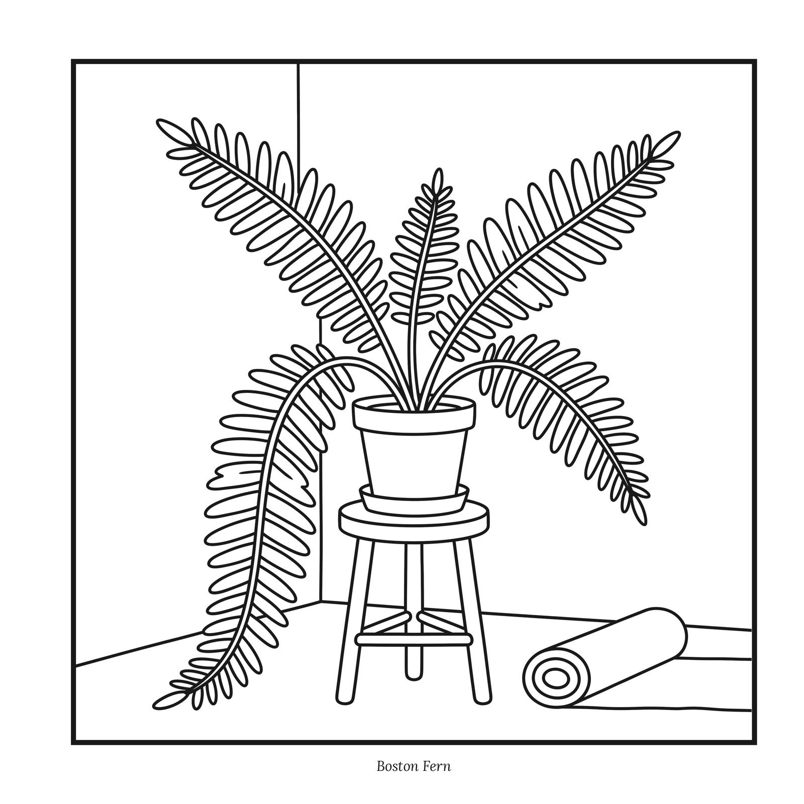 Boston fern in a pot on a wooden stool, its fronds arching to the floor beside a rolled mat, a coloring page from Plant Shelf