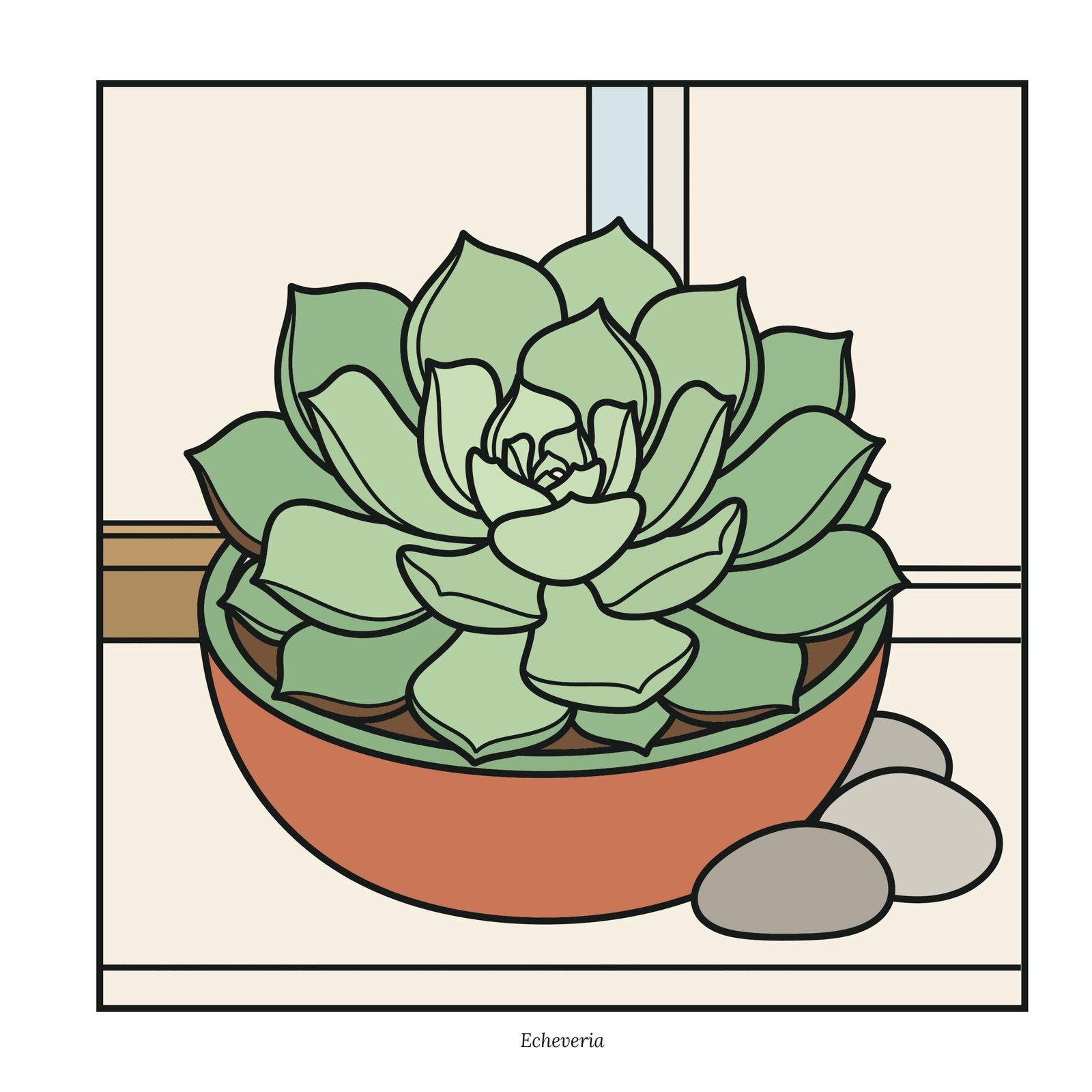 The Echeveria page colored digitally: a pale green succulent in a terracotta bowl with gray stones